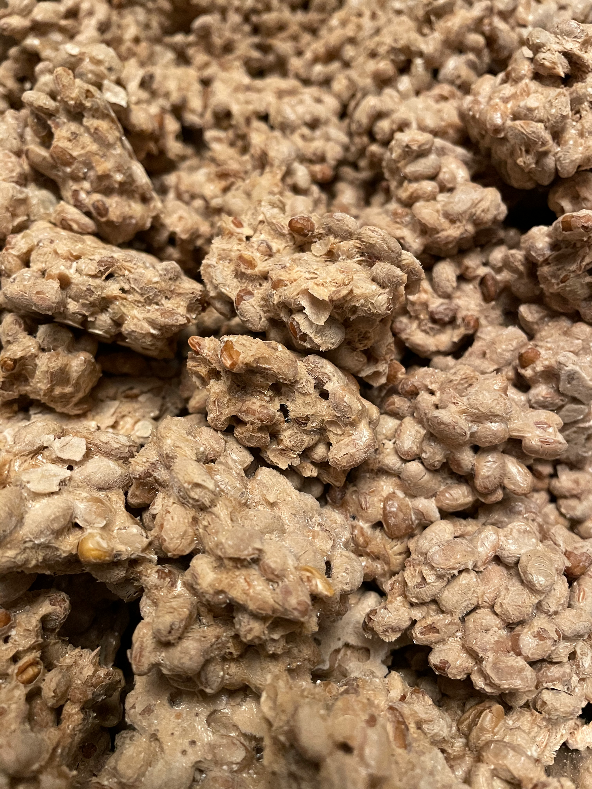 Freeze Dried Natto with Organic Soybeans 